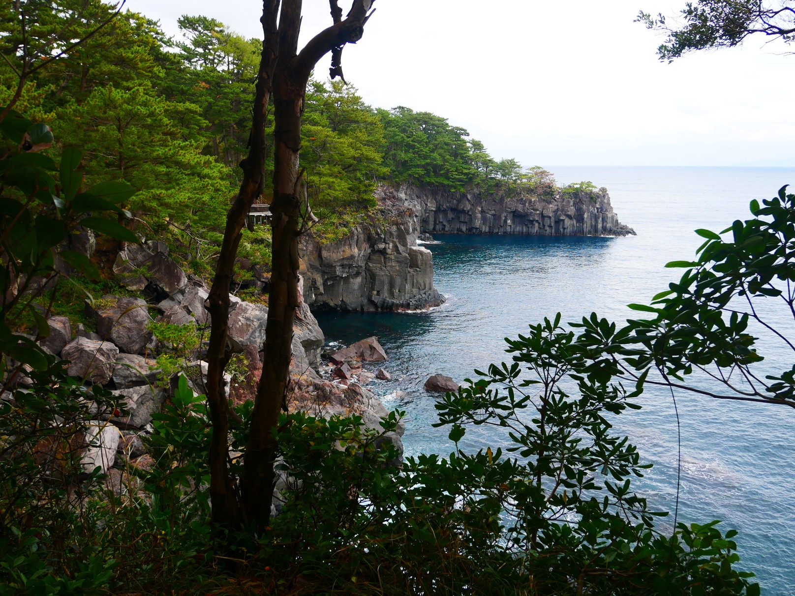 城ヶ崎海岸 いがいが根 11 24 さときちさんの古城山 大平山 伊東アルプスの活動データ Yamap ヤマップ