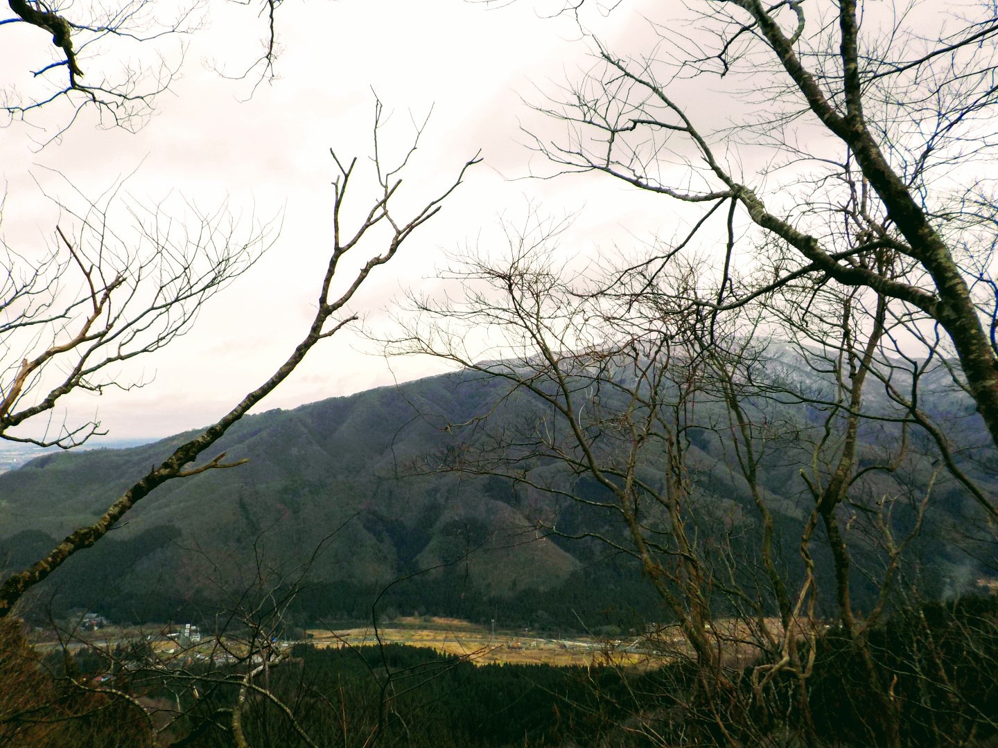 雷山 かやの木山 下町のエキストラさんの雷山 新潟県 の活動日記 Yamap ヤマップ