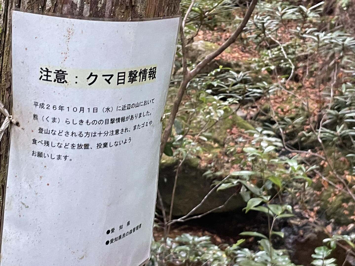 宇連山 2023.12.3 / 369さんの宇連山・鳳来寺山・岩古谷山の活動データ YAMAP / ヤマップ