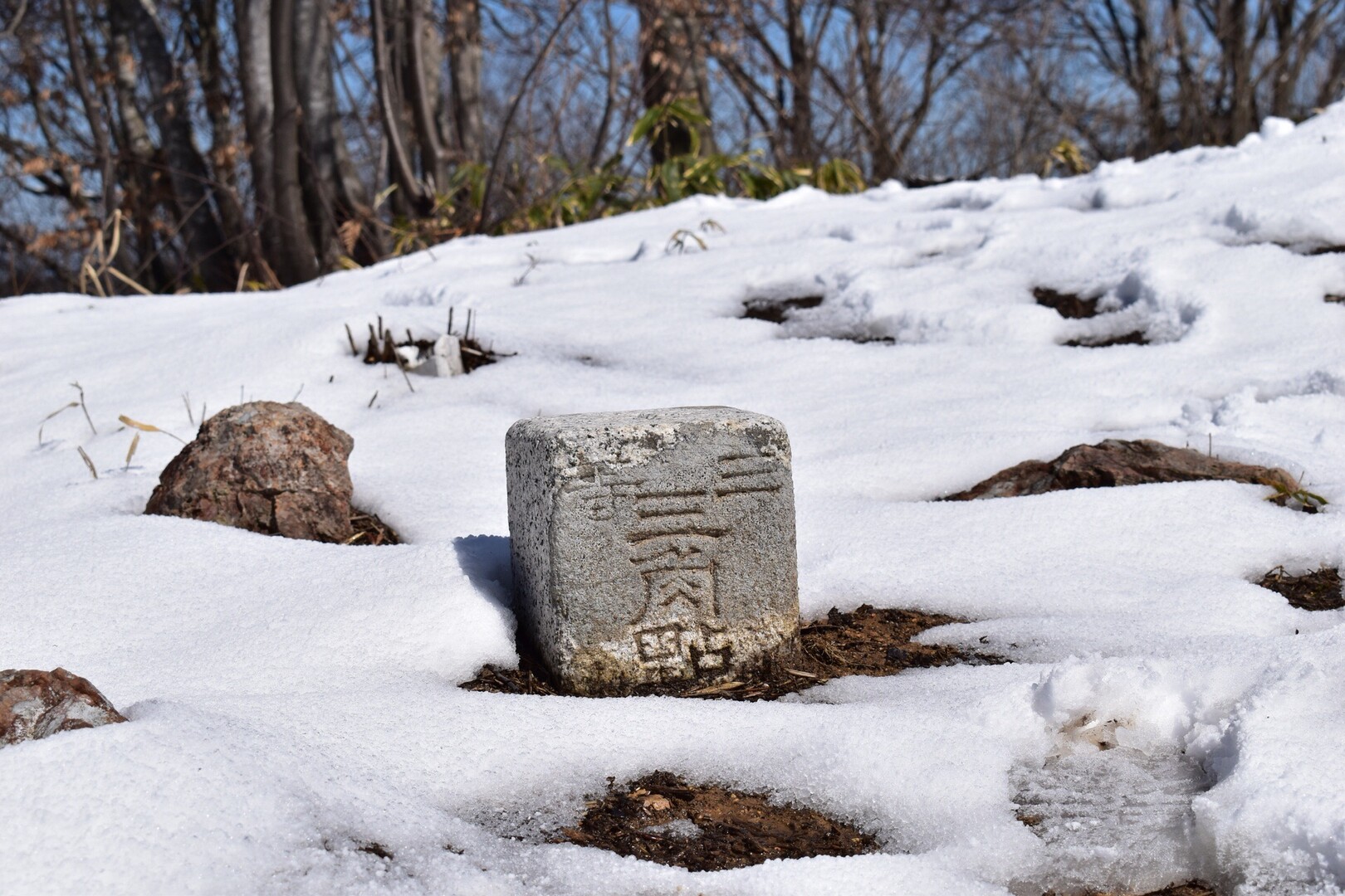 千石城山 03 25 あやさんの千石城山の活動日記 Yamap ヤマップ