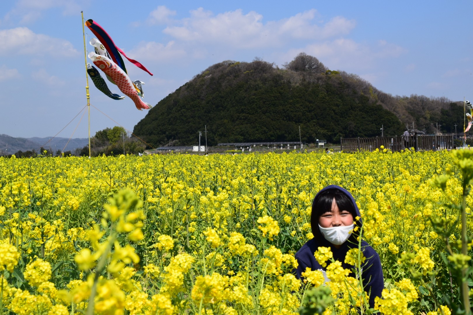 道の駅笠岡ベイファーム 菜の花畑で遊ぼう かずかずさんの笠岡市の活動データ Yamap ヤマップ