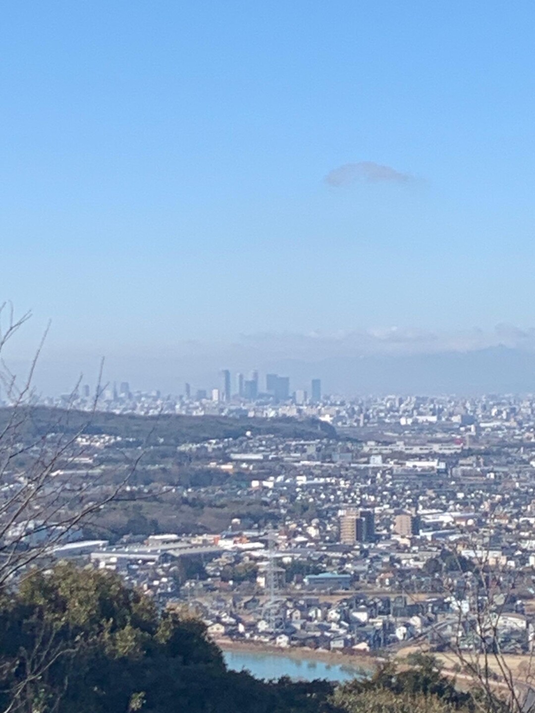 尾張戸神社の東谷山からしだみ古墳群巡りの写真