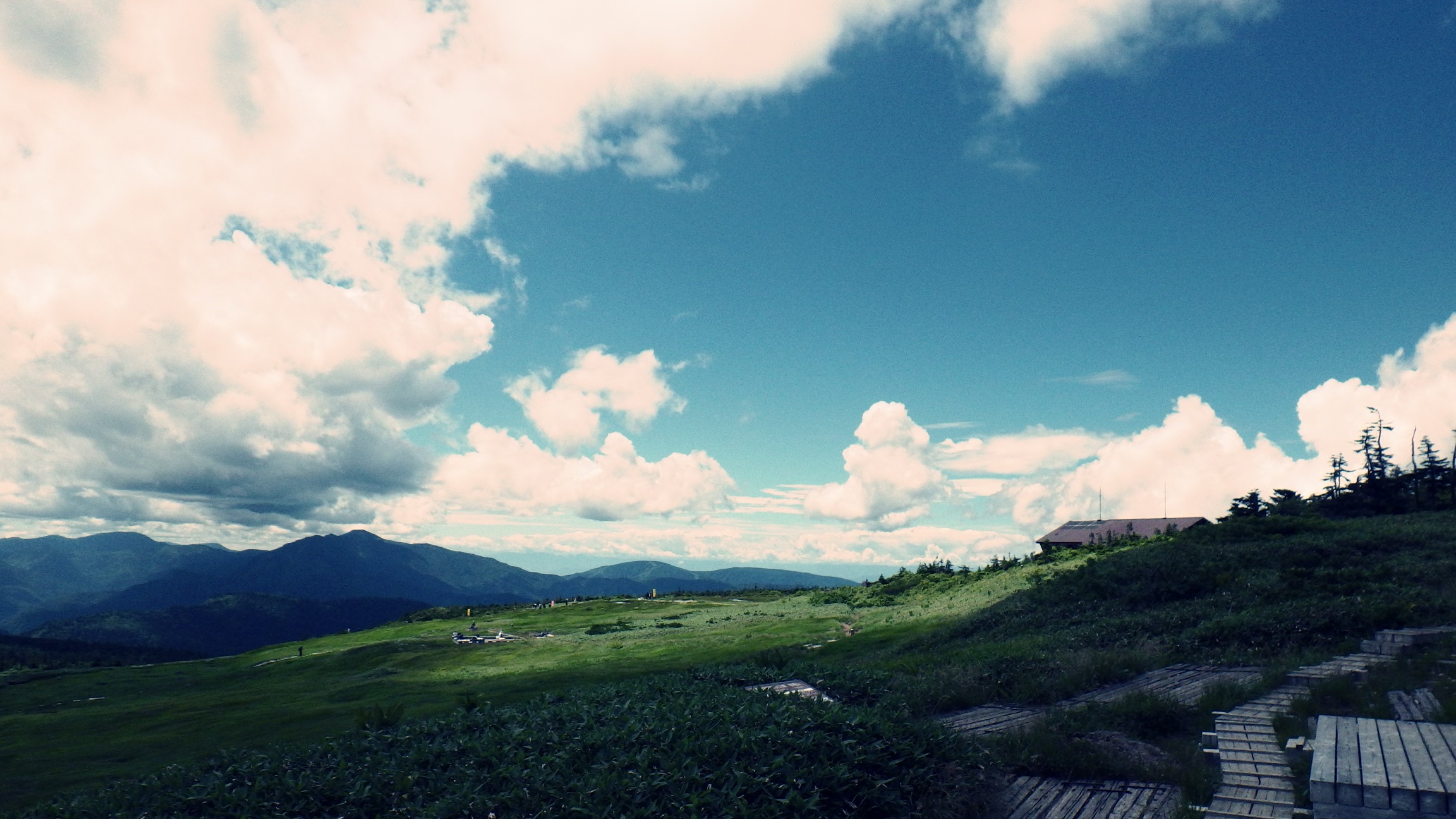 大当たり 夏晴れの苗場山 08 11 智 さんの苗場山 赤倉山 佐武流山の活動データ Yamap ヤマップ