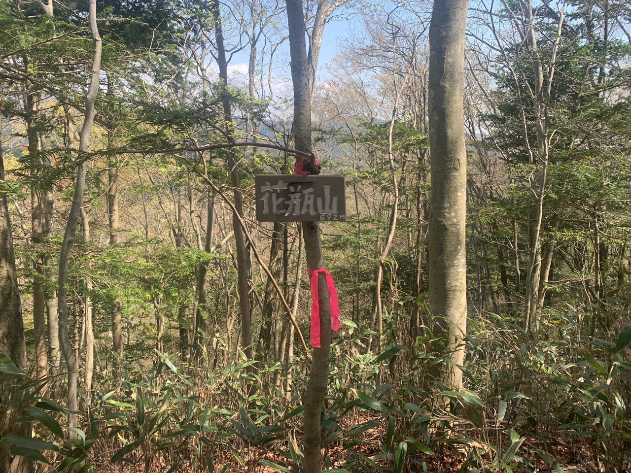 向山 花瓶山 池ちゃんさんの花瓶山の活動日記 Yamap ヤマップ