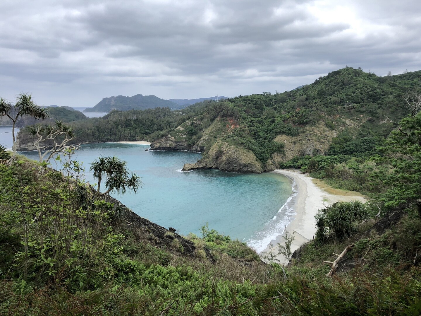 小笠原 父島 ブタ海岸 あゆたさんの父島 小笠原諸島 の活動日記 Yamap ヤマップ