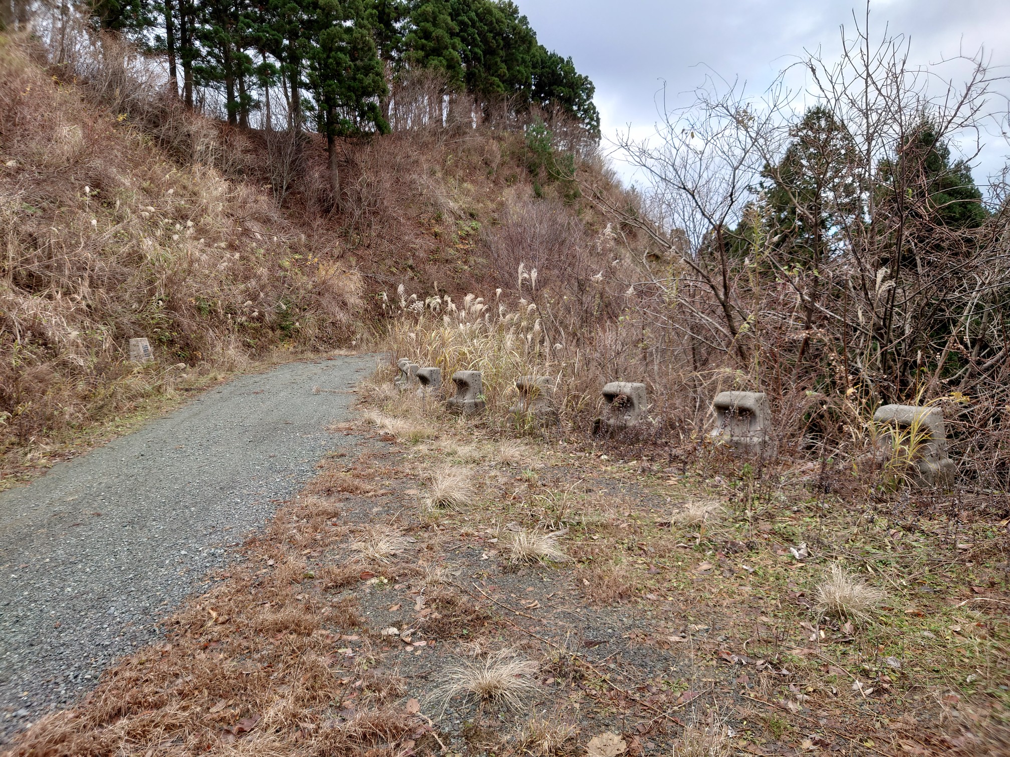 恵良岳（三等三角点）剱ヶ岳山系 / トトリンさんの剱ヶ岳・刈安山の活動データ YAMAP / ヤマップ