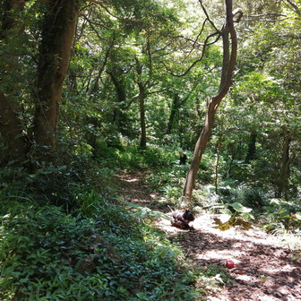見せ場もなく