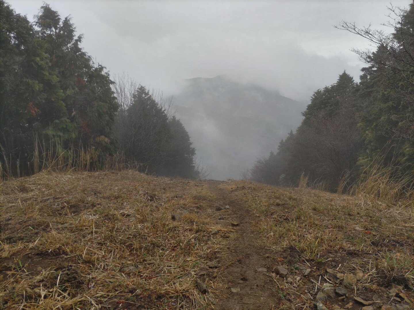 山犬の峠・赤牟田ノ辻・焼立山・福智山・赤松台・音滝山・白畑山・建郷山 / おんでこ太郎さんのカントリーレース 福智山の活動データ