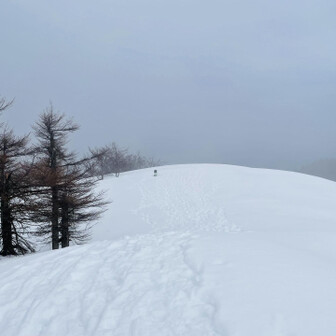 蘇武岳 頂上が見えた‼️
あれ❓「ようこそ」のプレートがあったハズなのに見当たらないなー🤔