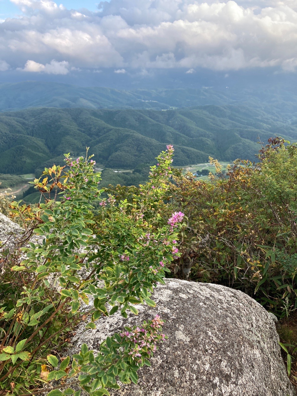 鎌倉岳 花の百名山 加藤ですさんの鎌倉岳の活動データ Yamap ヤマップ
