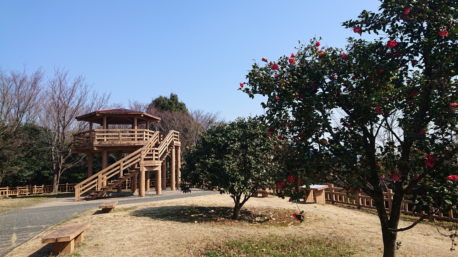 豊川市内で プチ登山と公園巡りと歴史ラン 赤塚山から鳥居強右衛門や野口城など 03 19 じょーたろーさんの観音山 豊川市 の活動日記 Yamap ヤマップ