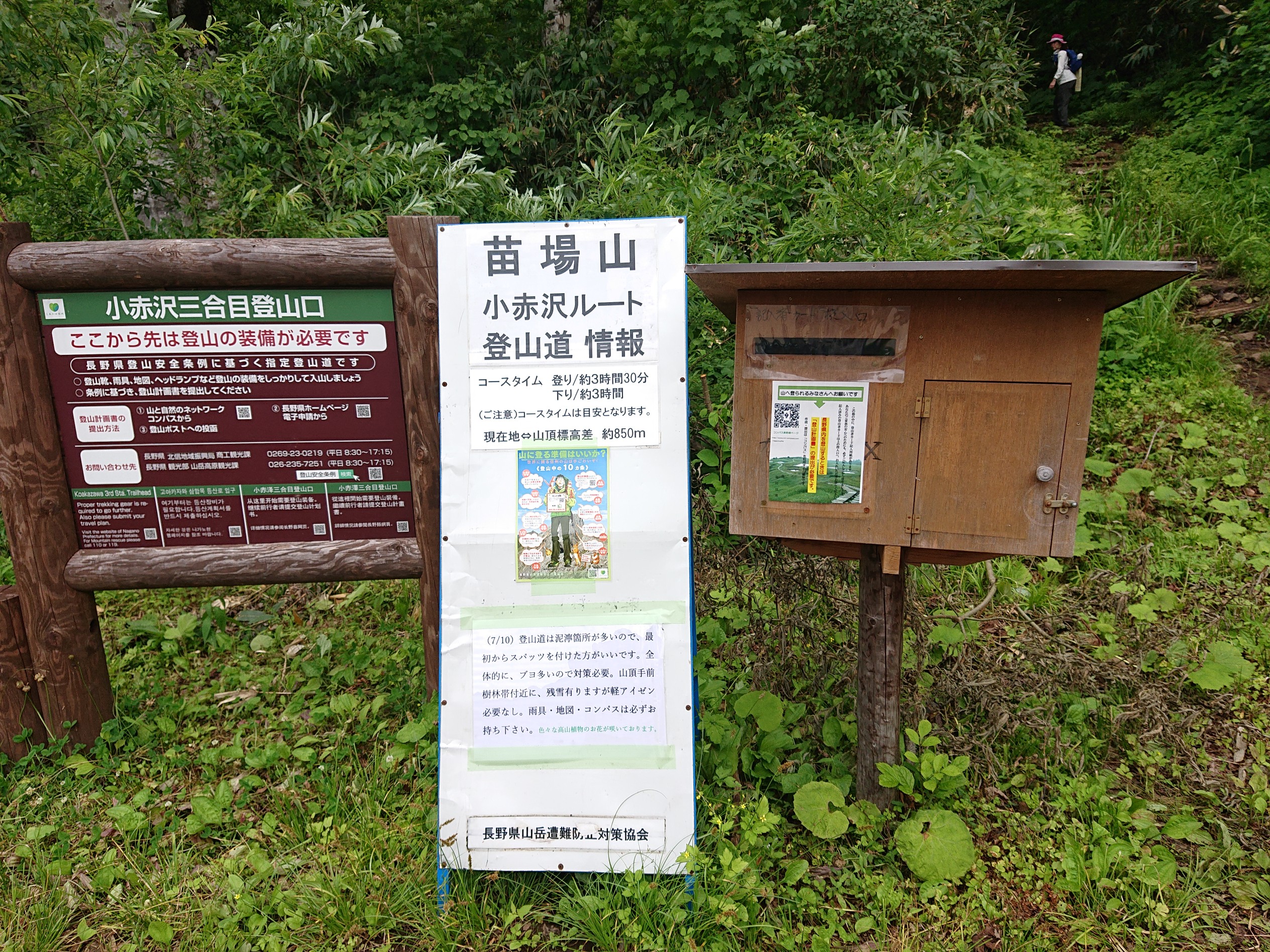 苗場山19 07 27 きんちゃんさんの苗場山 赤倉山 佐武流山の活動データ Yamap ヤマップ