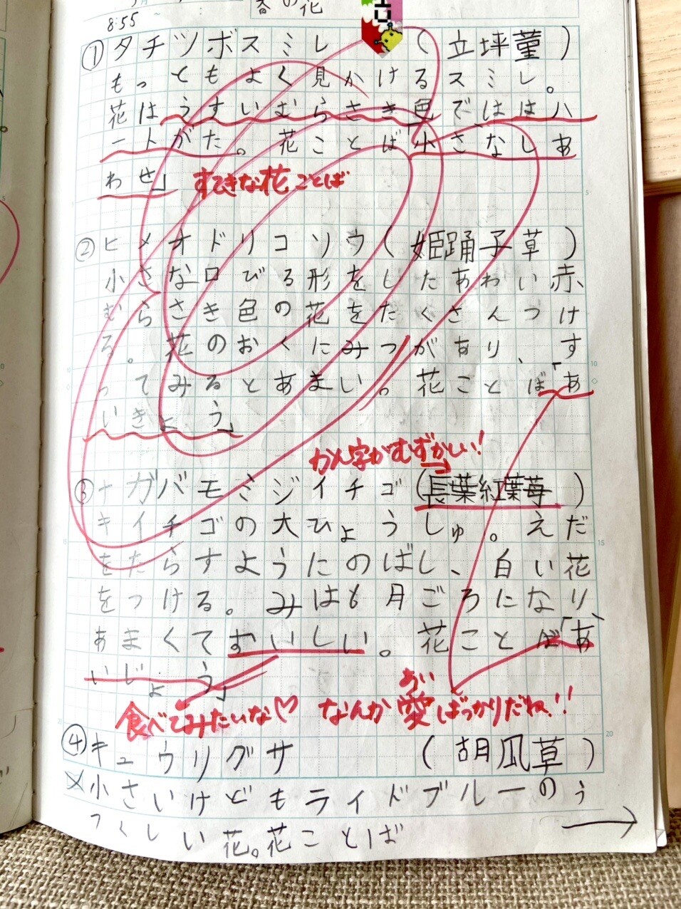 二年生最後の自主学習は 春の花 先週観 チハレさんのモーメント Yamap ヤマップ