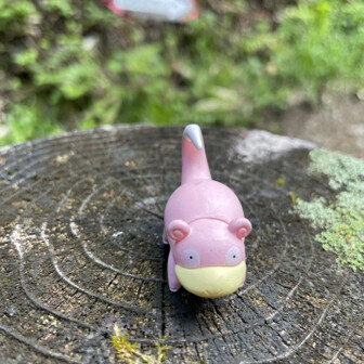 経ヶ岳・法恩寺山 いました。（回収します。）おかえり~。教えてくれた人、ここに置いてくれた人、画像をアップしてくれたり、関わってくれた人ありがとう。