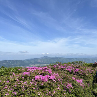 ラビットさとちゃん
