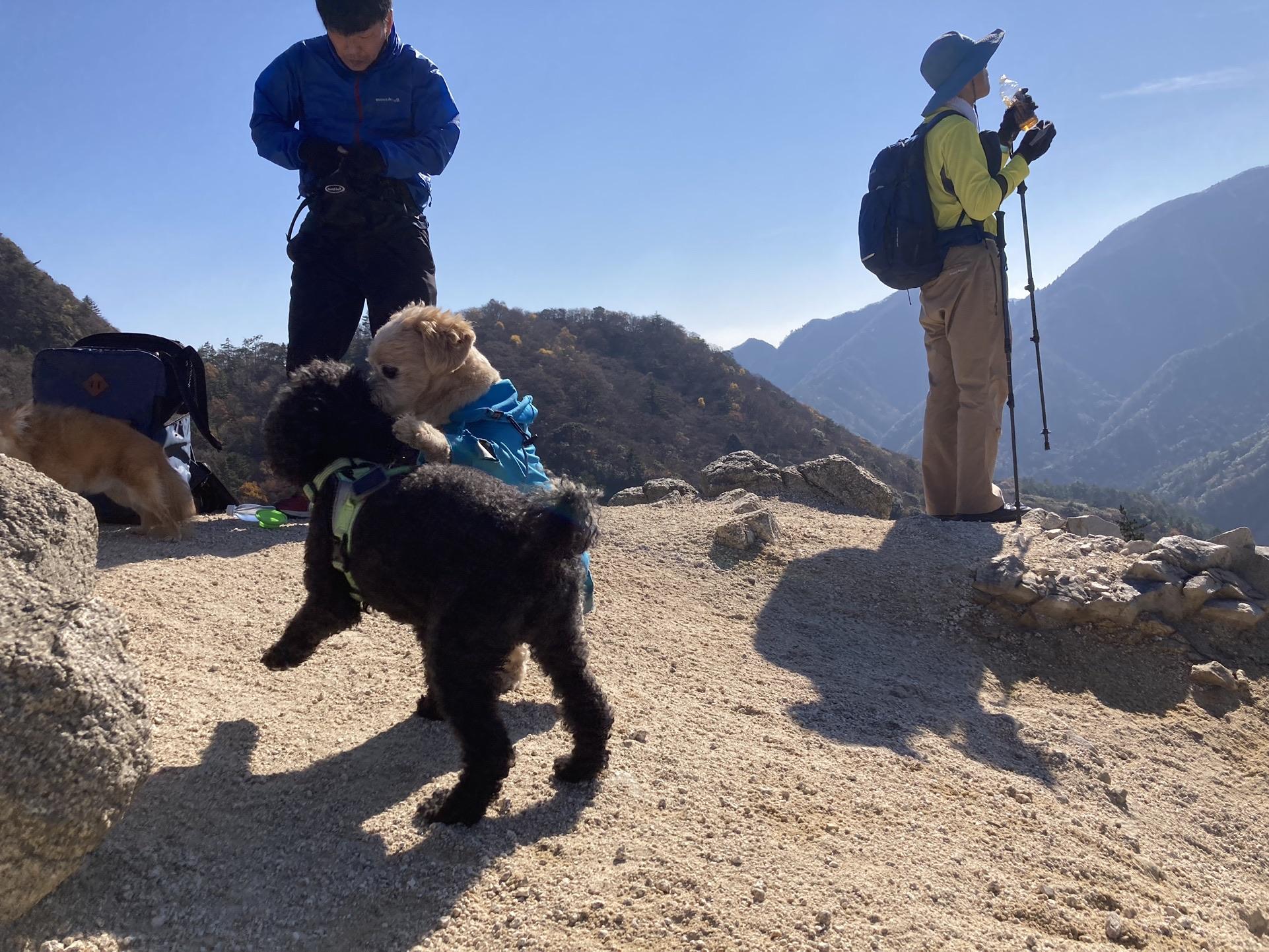 釈迦ヶ岳 降りてもプロレス