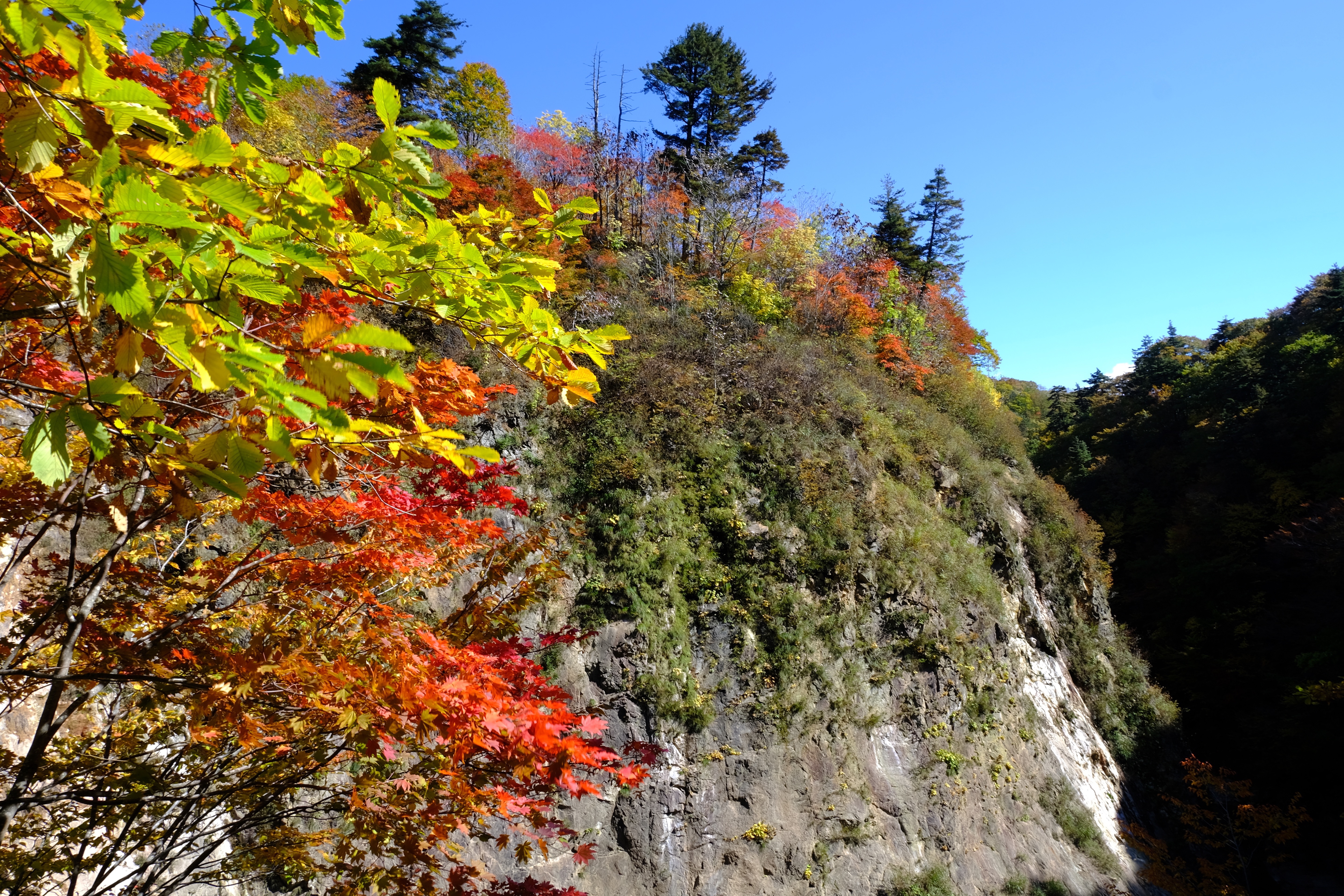 紅葉の葛根田渓谷 呑気なおじーちゃんさんのハイキングの活動データ Yamap ヤマップ