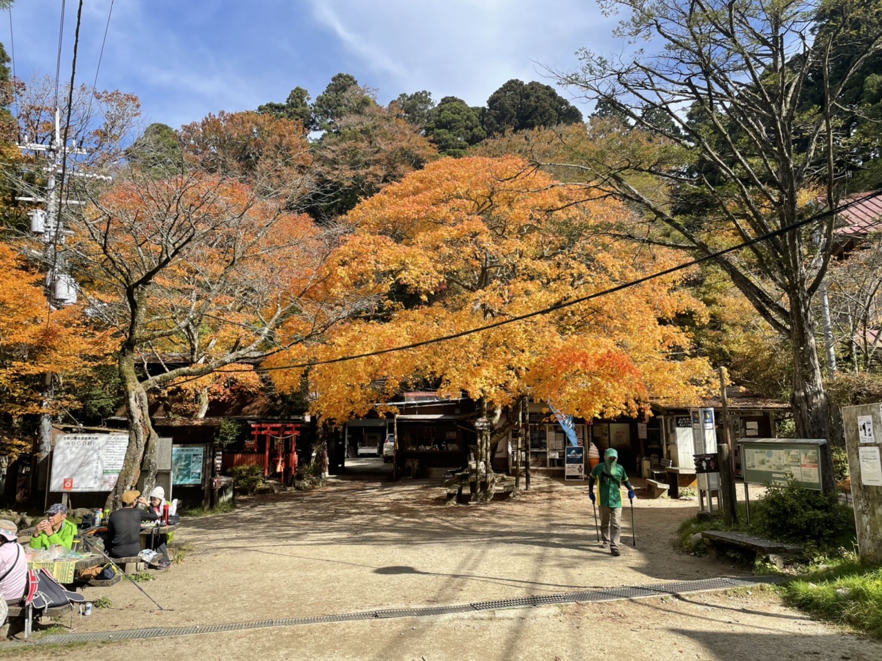 金剛山の紅葉 モミジ谷 サネ尾 Do Kichiさんの金剛山 二上山 大和葛城山の活動データ Yamap ヤマップ