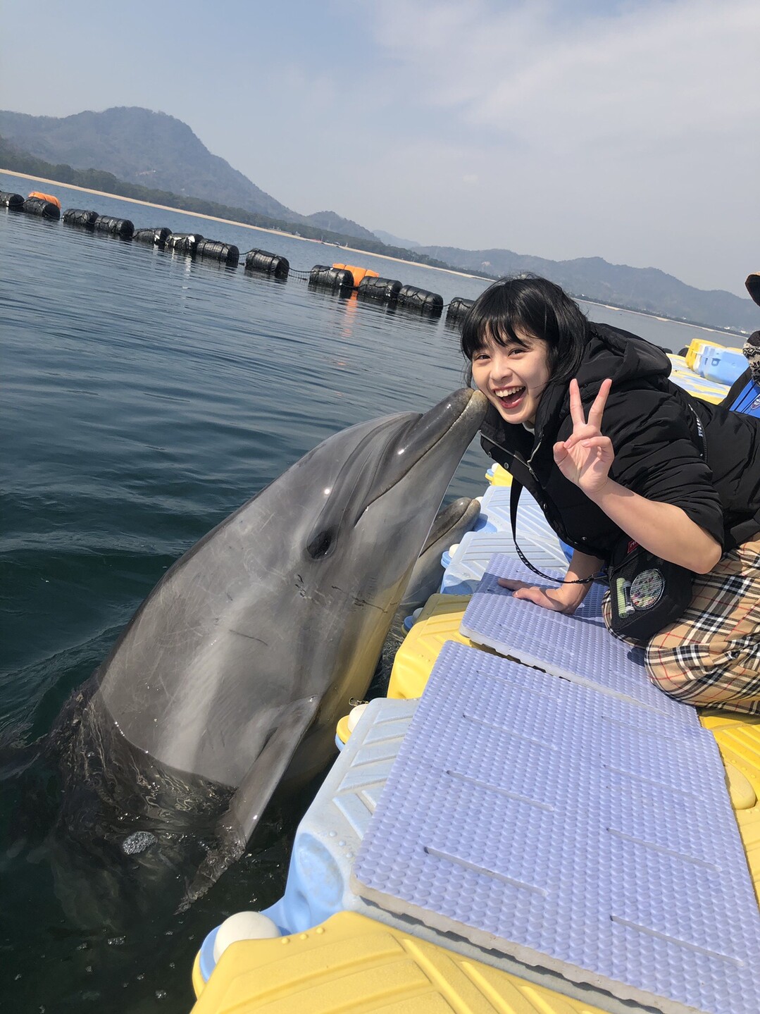 イルカウォッチング Etsuさんの四国遍路その19の活動日記 Yamap ヤマップ
