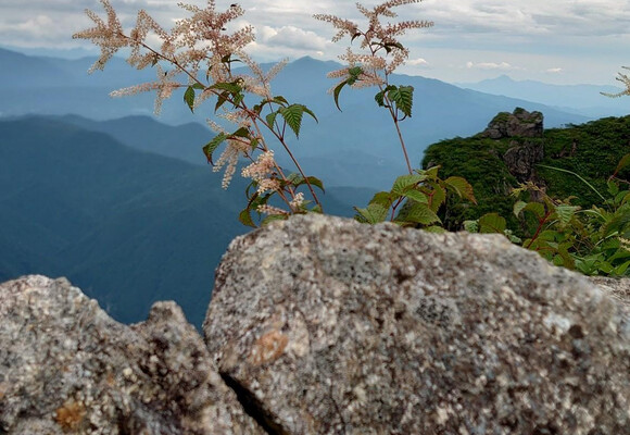 アラタ | YAMAP / ヤマップ