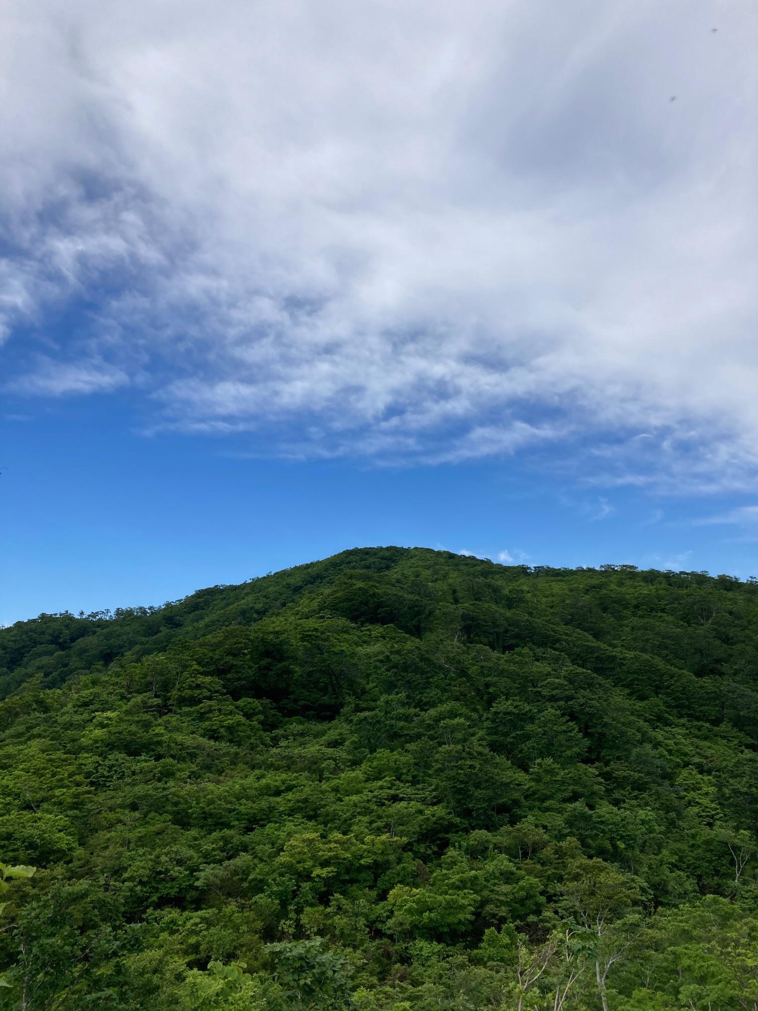 近江百山-ヤマレコ