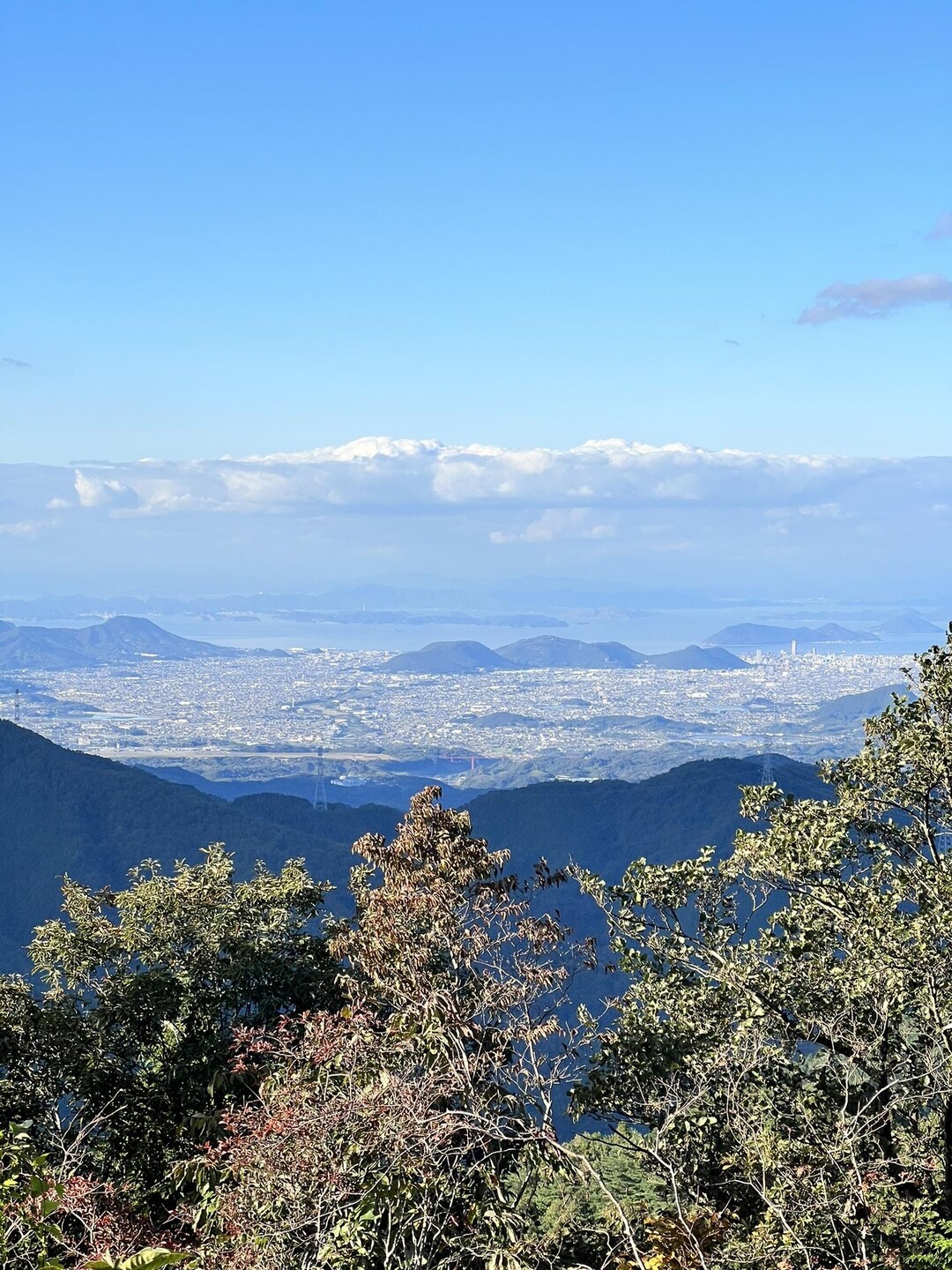 竜王山（阿波竜王）・竜王山（讃岐竜王） / kou1314さんの竜王山（讃岐山脈）・大川山の活動データ YAMAP / ヤマップ