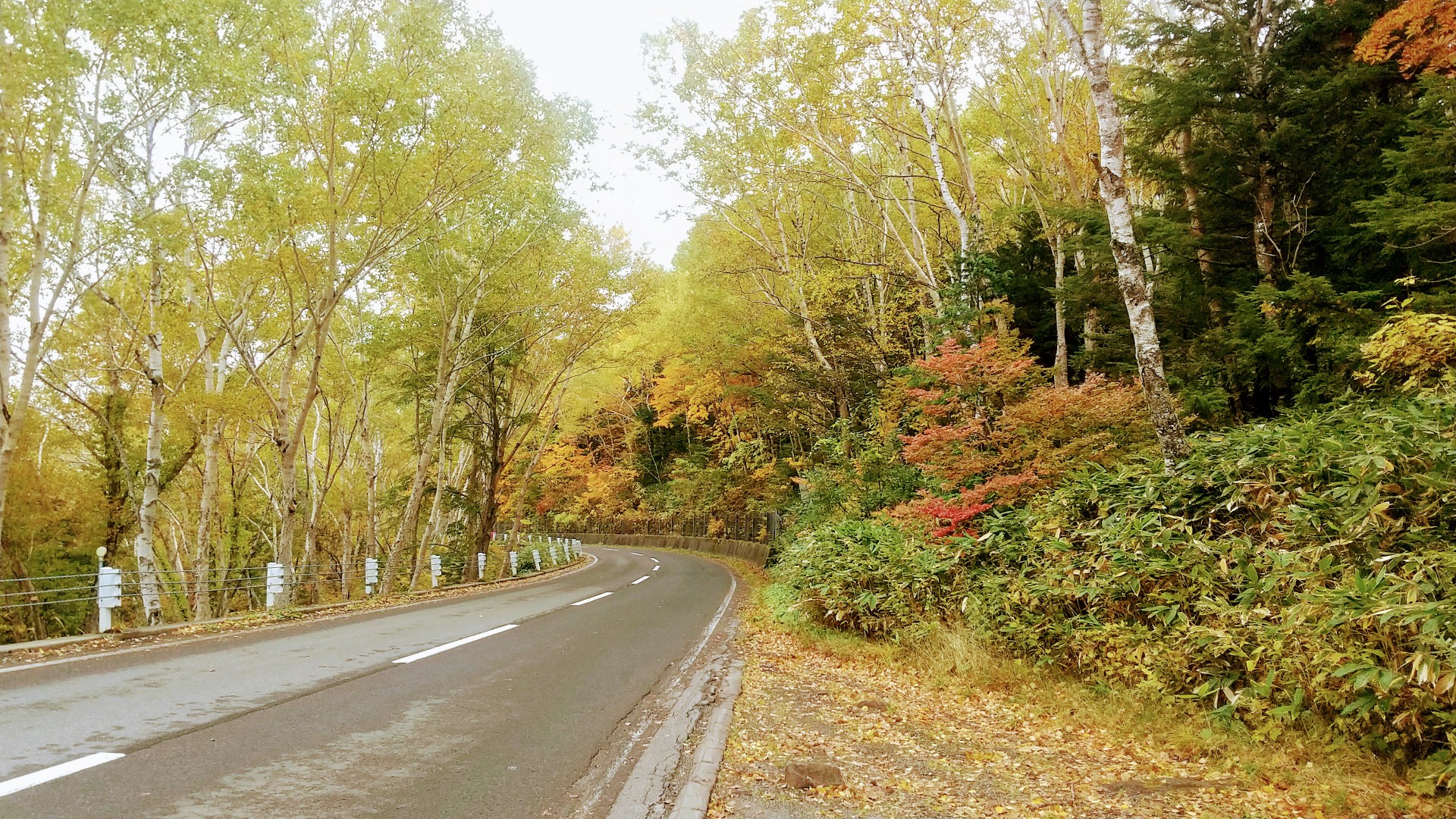 志賀高原 紅葉 の嵐 サンキチさんの横手山 志賀山 赤石山の活動データ Yamap ヤマップ