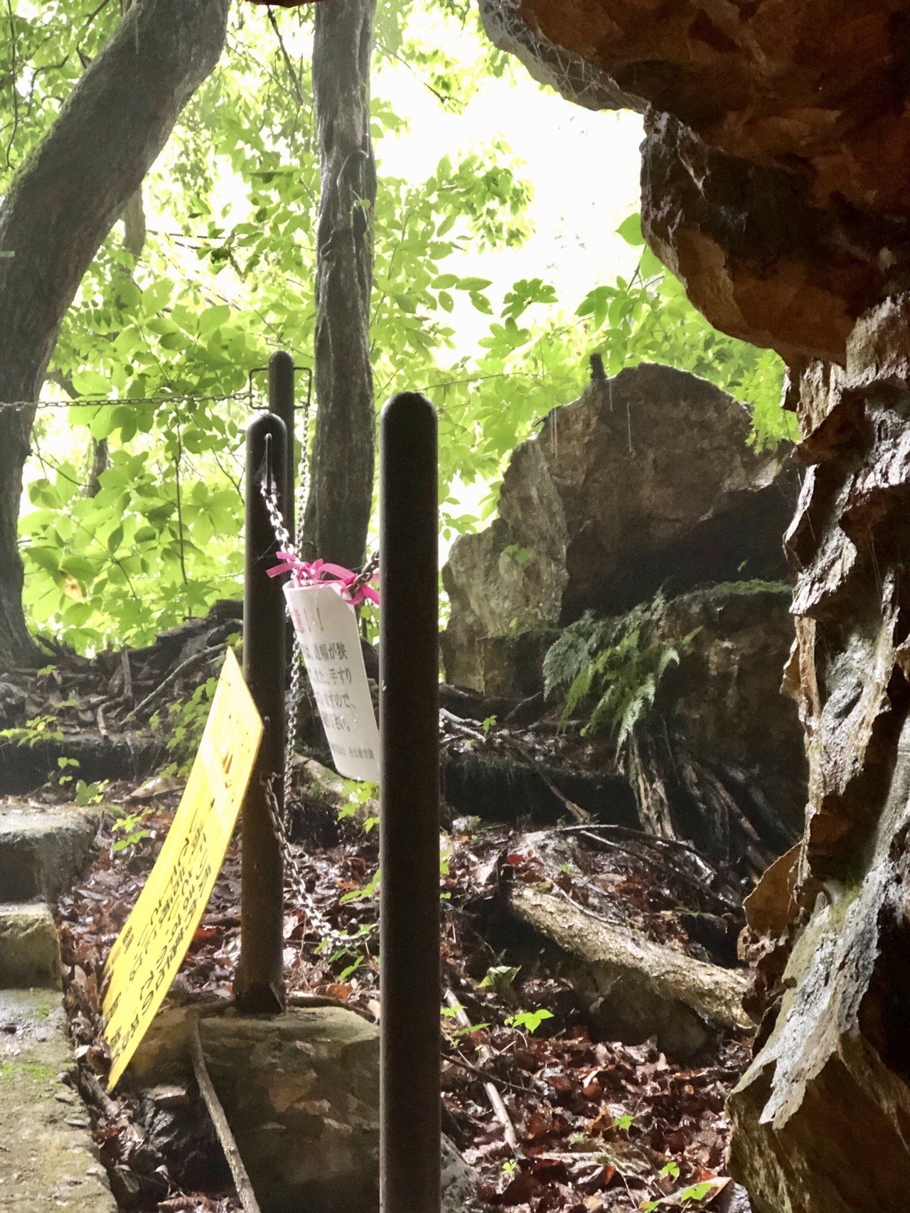 江戸初期の大銀山 延沢銀坑洞散策 三人息子のママさんの銀山温泉の活動データ Yamap ヤマップ