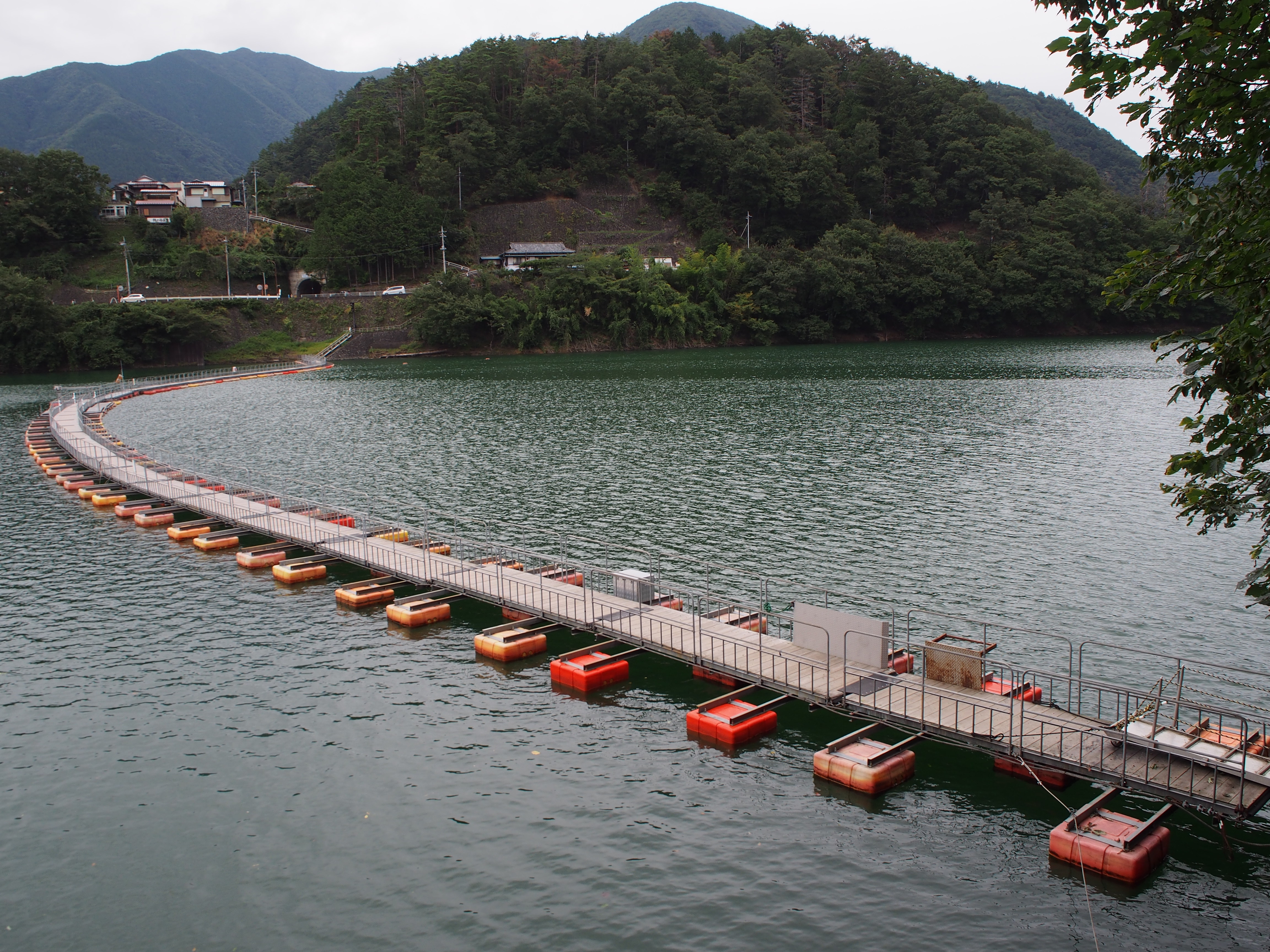 東京の原生林を歩く 浮き橋を渡って三頭山へ Mistymountainhopさんの三頭山 東京都 槇寄山 土俵岳の活動日記 Yamap ヤマップ
