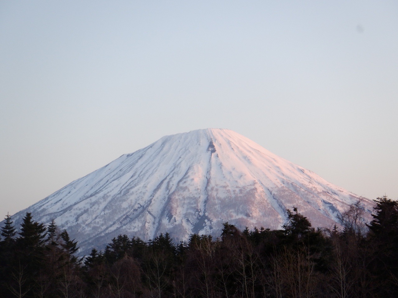 21年 羊蹄山 京極コース ともちゃん さんの羊蹄山 蝦夷富士 の活動日記 Yamap ヤマップ