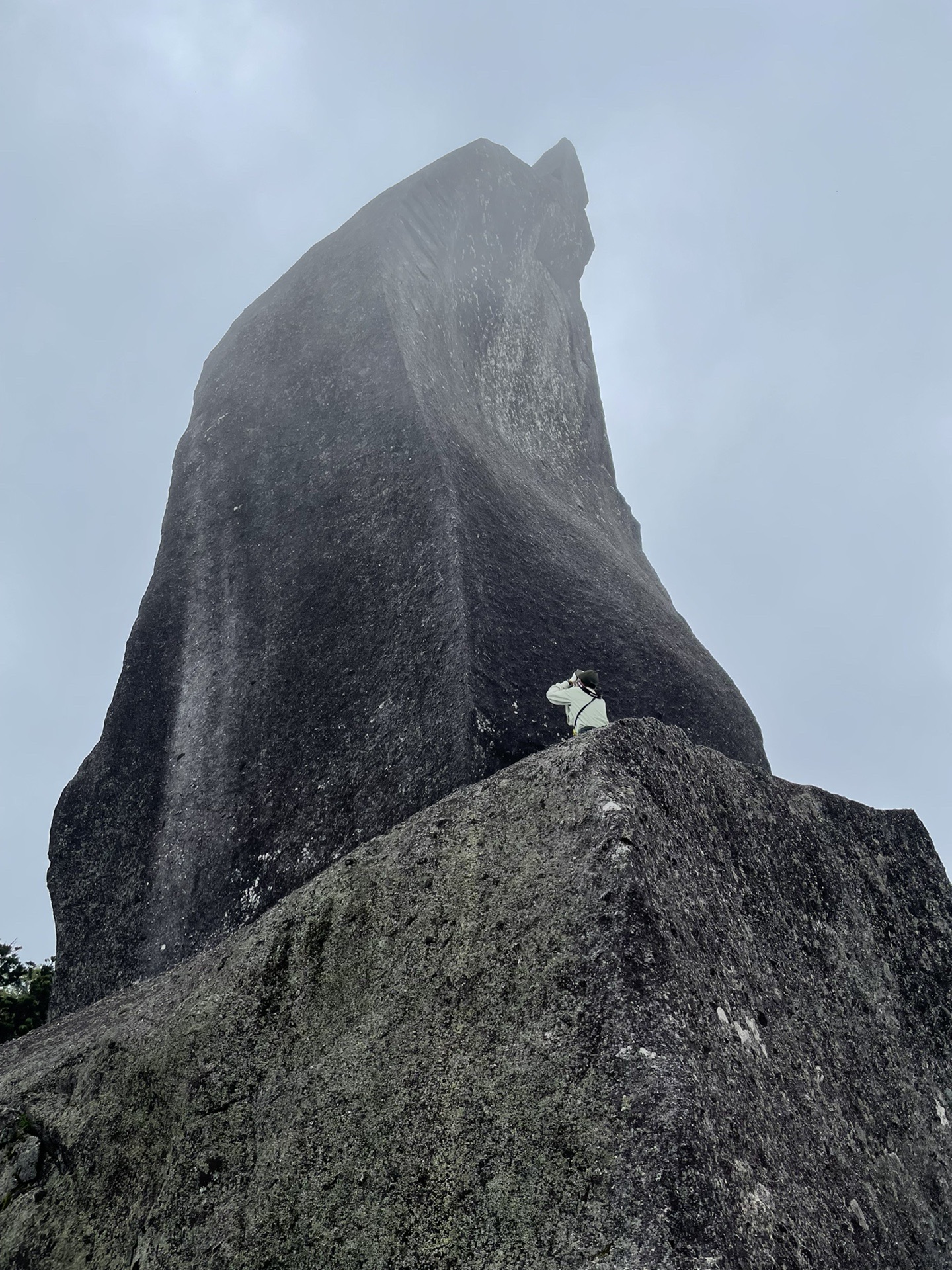 太忠岳 Tominaさんの屋久島 宮之浦岳の活動データ Yamap ヤマップ