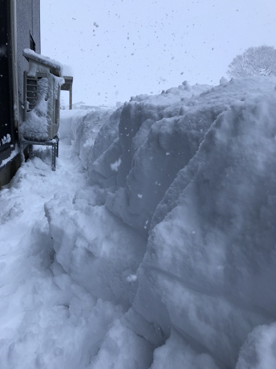 今日は朝家の除雪 仕事でも除雪そして帰宅 / soraさんのモーメント 