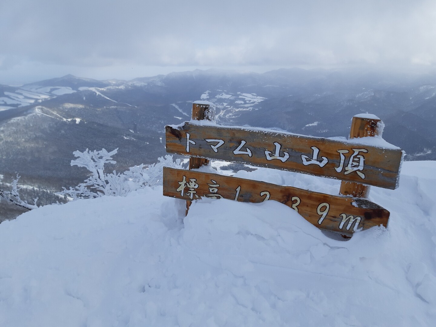 トマム山・トマムスキー場‼️ / wayback88さんのトマム山の活動データ YAMAP / ヤマップ