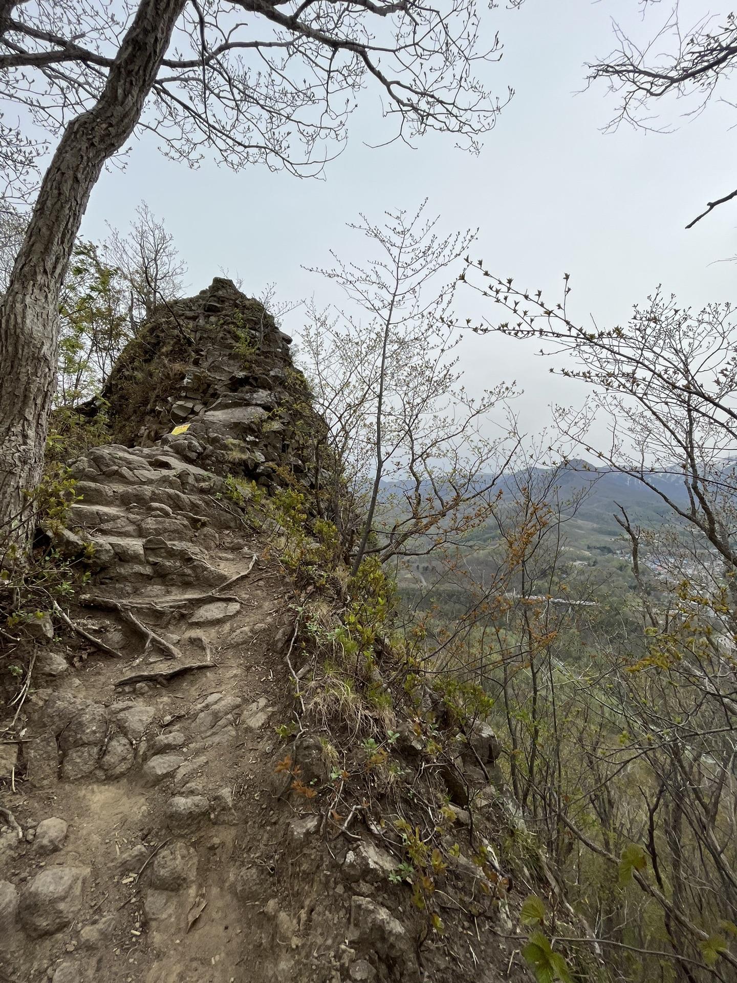 八剣山で春のお花発見の旅 / なおさんの観音岩山（八剣山）の活動データ YAMAP / ヤマップ