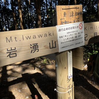この奥の岩湧寺周辺にムラサキセンブリが咲いてる気がする…