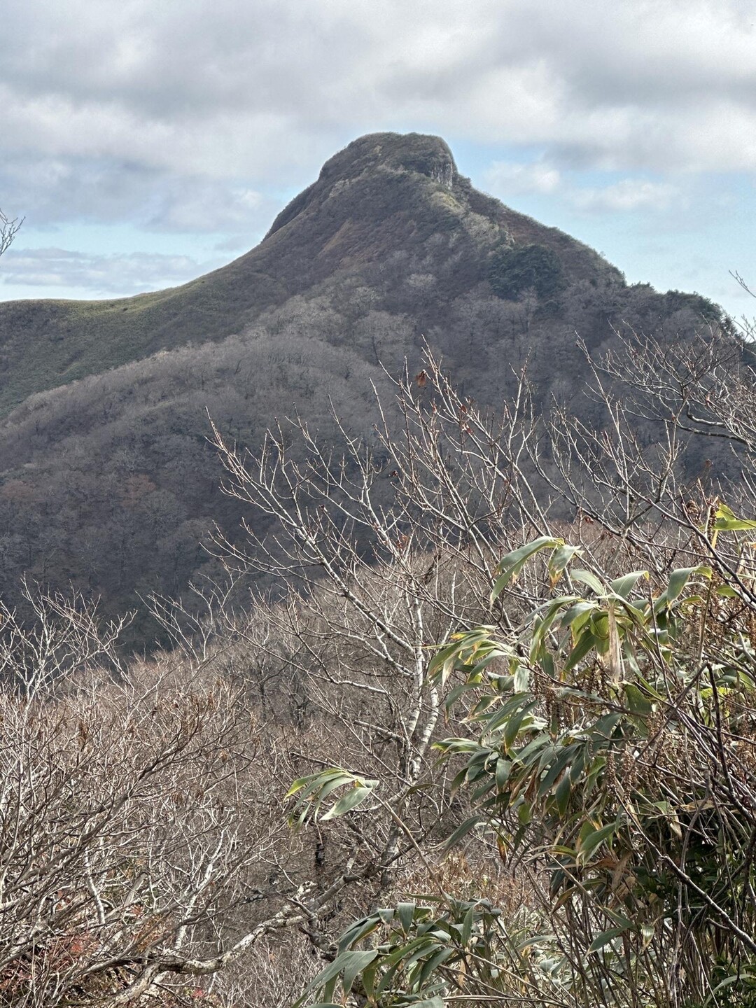 焼肉竹の親父の山歩記 冠山(福井県/岐阜県) 尖った山に軽めの登山のつもりが…… / 鬼眞さんの冠山・金草岳の活動データ YAMAP / ヤマップ
