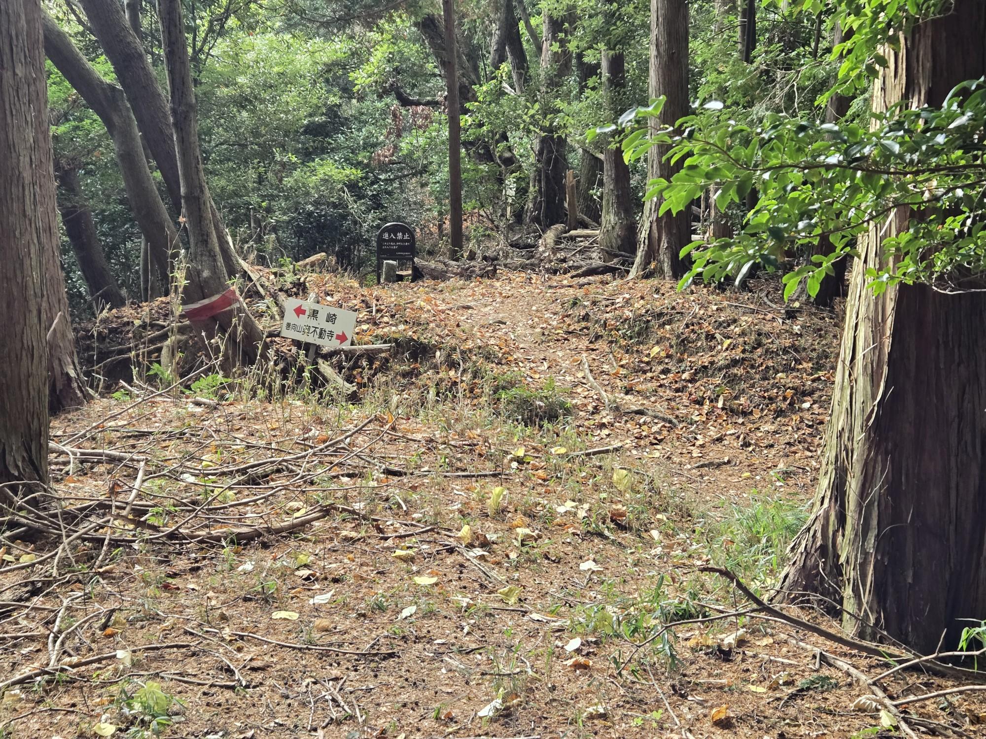 三輪山・巻向山・龍王山 分岐に戻って来ました❗。