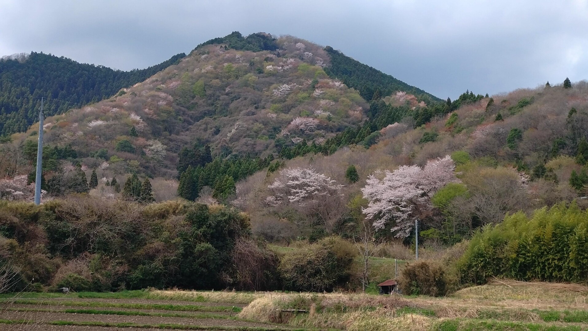 滝富士   ミカンさんのいわき市の活動日記 