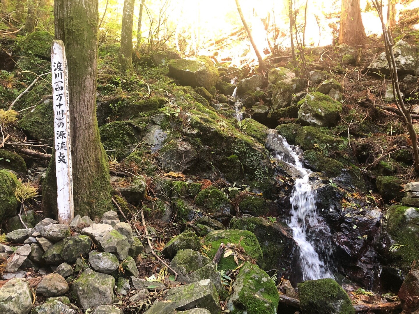 高知 不入山 四万十川源流 19 10 13 勇次さんの不入山の活動日記 Yamap ヤマップ