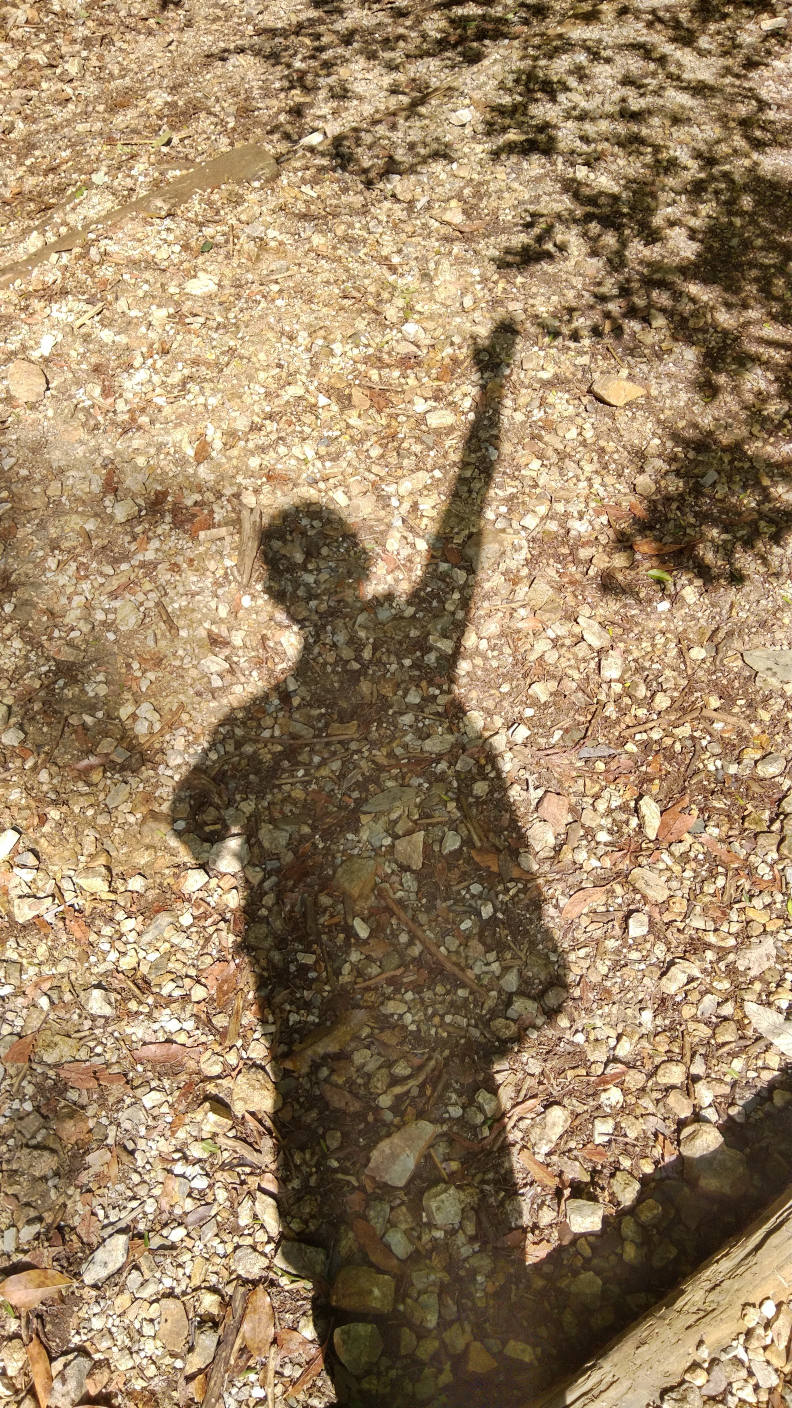 愛宕山 愛宕神社月詣り ふくさんの愛宕山 三頭山 朝日峯の活動日記 Yamap ヤマップ