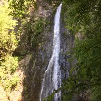 登山道に入ってすぐの分岐を左で天狗の滝。滝の対岸を登ると右コースと合流します。