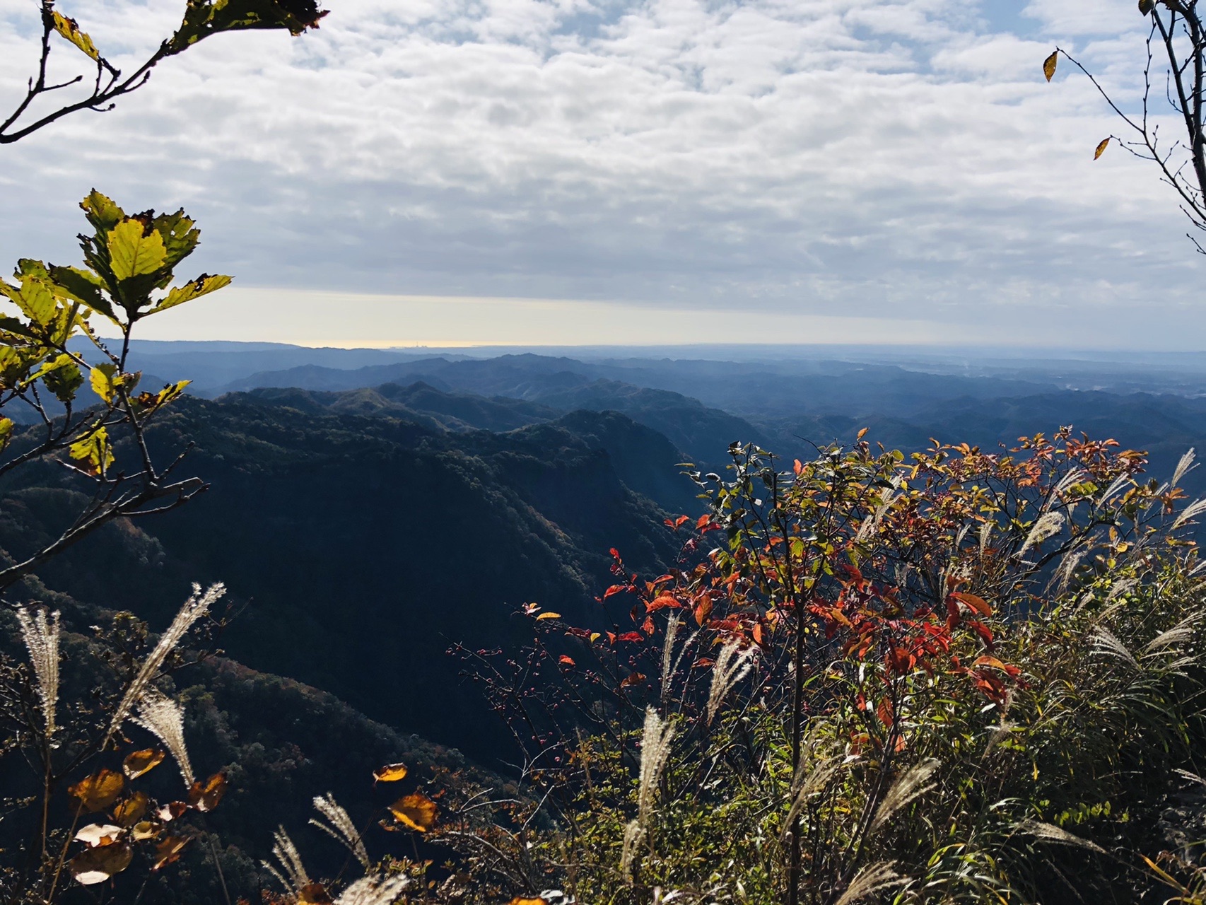 紅葉にはちょっと早かった 奥久慈男体山でリハビリ山行 なっくさんの奥久慈男体山 月居山 篭岩 篭岩山 の活動データ Yamap ヤマップ