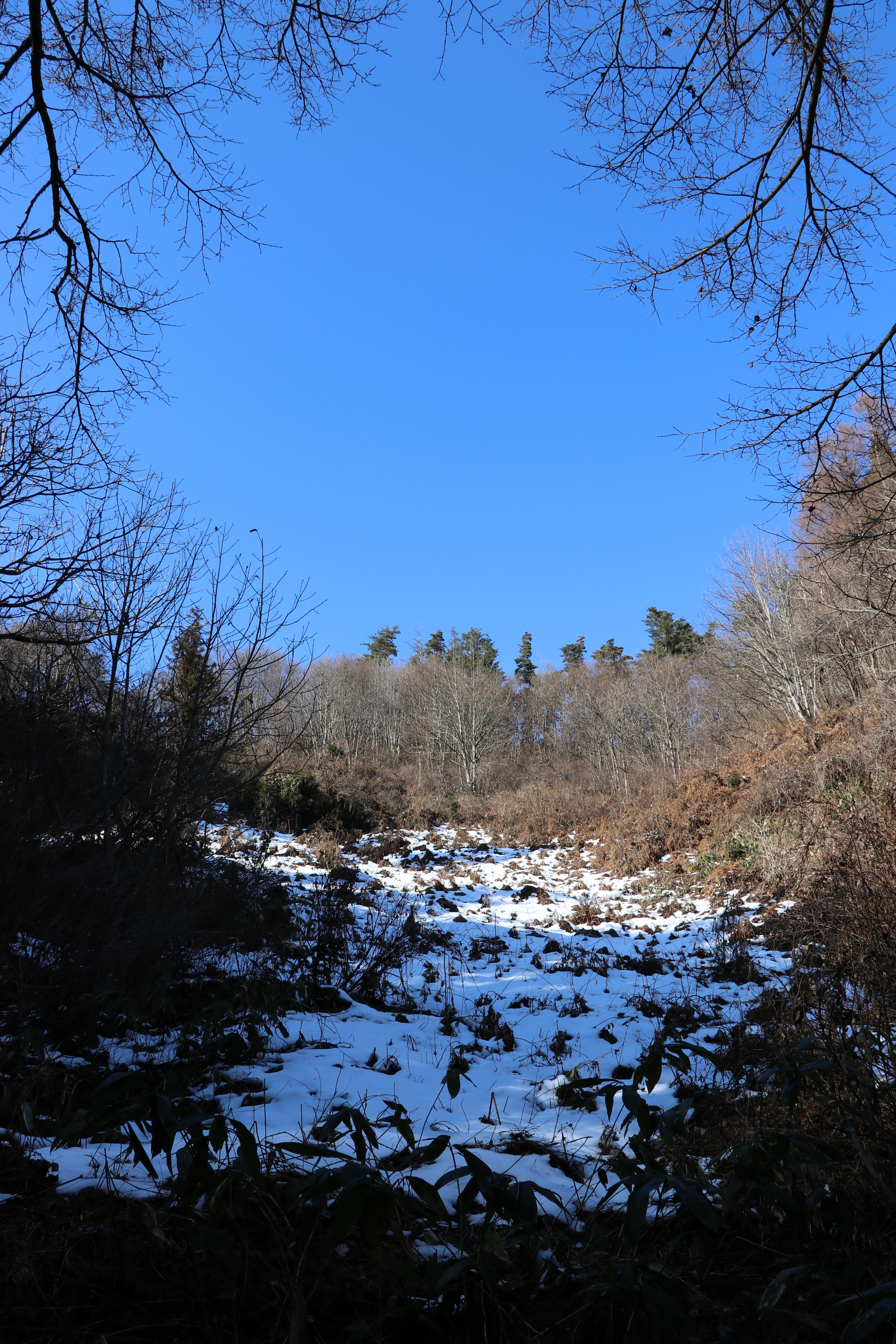 山形県米沢市万世町 早坂山 Stromboliさんの米沢市の活動データ Yamap ヤマップ