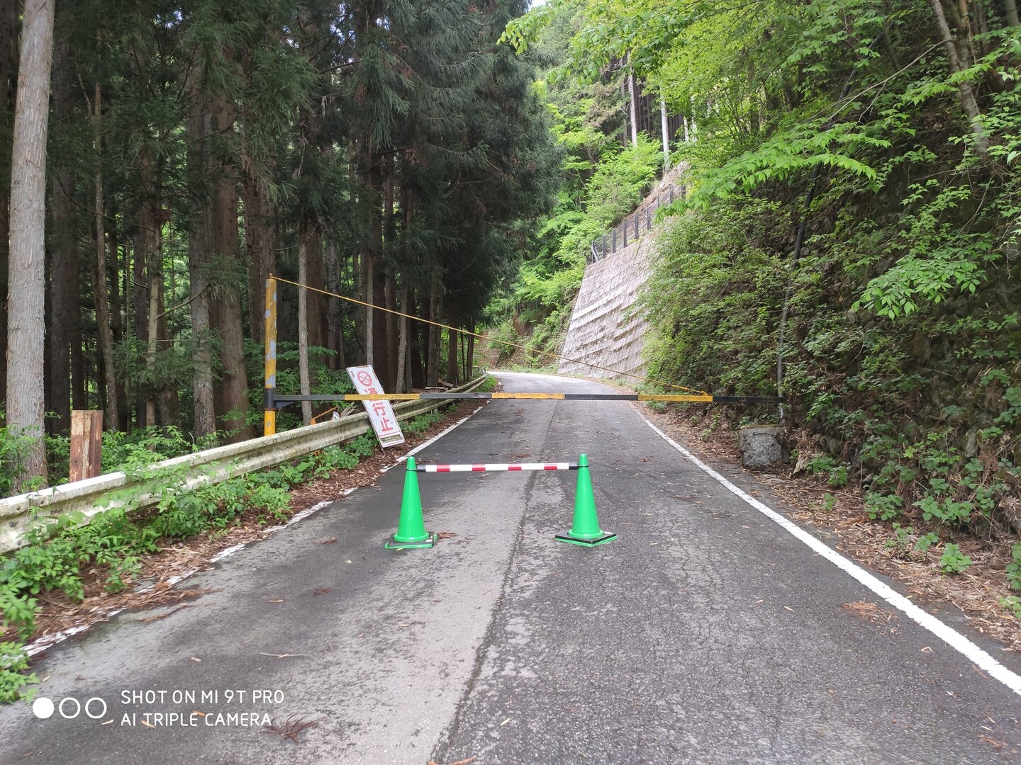 ただの散策 三国山 神奈川県 山梨県 静岡県 05 16 三国山 神奈川県 山梨県 静岡県 の写真11枚目 松姫峠にも行けないと 自然災害 Yamap ヤマップ