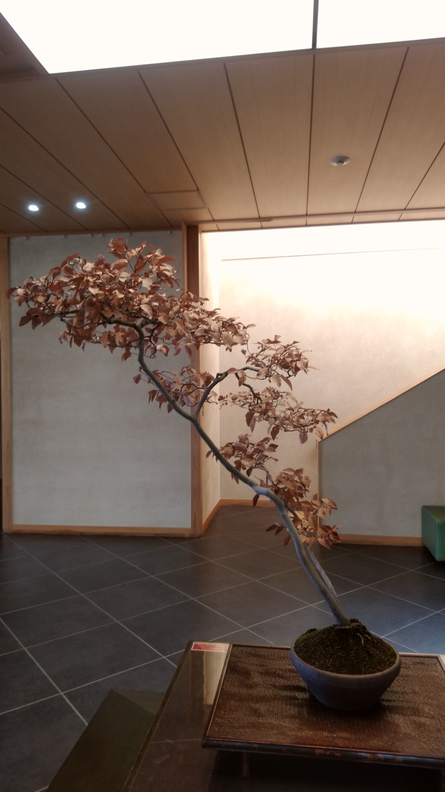 武蔵藤沢駅 三井アウトレットパーク入間 Zenjiさんのウォーキングの活動データ Yamap ヤマップ