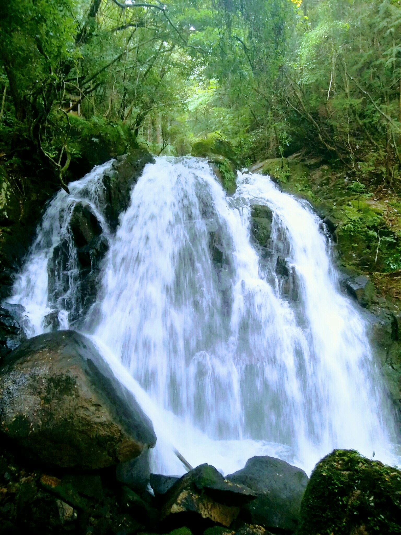信楽 滝めぐりサイクリング 三筋の滝 鶏鳴の滝 マーキュリーさんのサイクリングの活動データ Yamap ヤマップ