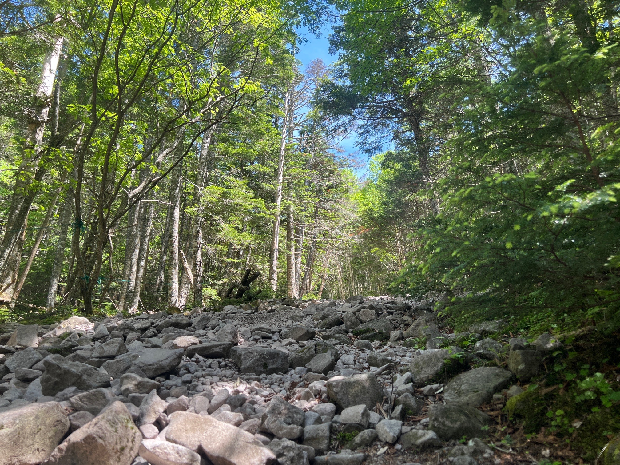 ザレ場が続きます。 ジグザグに横断しながら、負担軽減