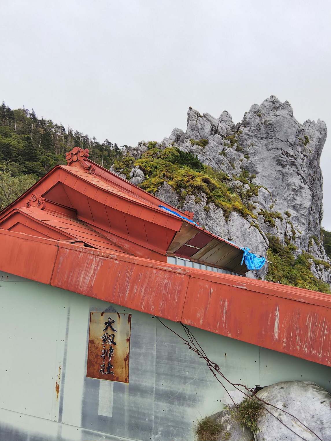 家族で剣山 失われたアーク を求めて チョッパーさんの剣山 徳島県 の活動データ Yamap ヤマップ