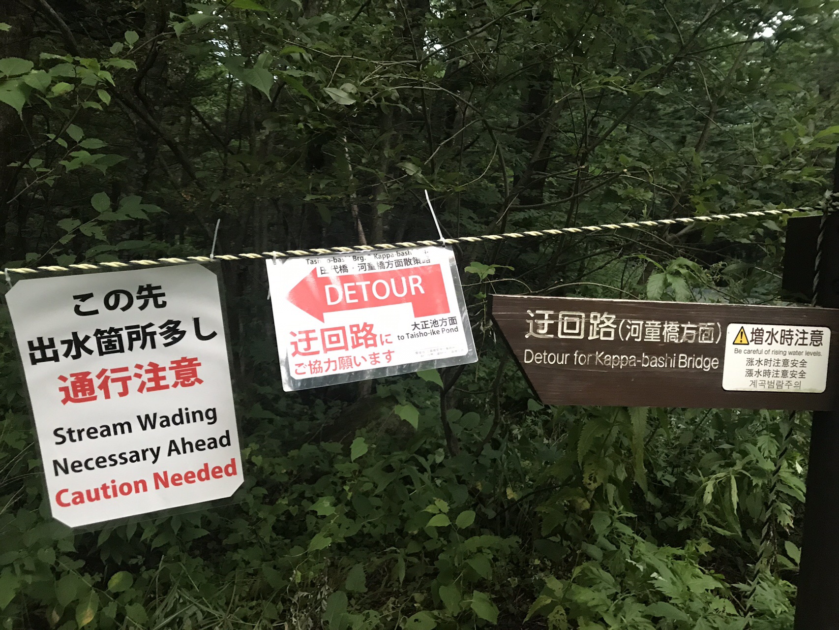 碧水の上高地は増水しても美しい河川 えーちゃんさんの槍ヶ岳 穂高岳 上高地の活動日記 Yamap ヤマップ