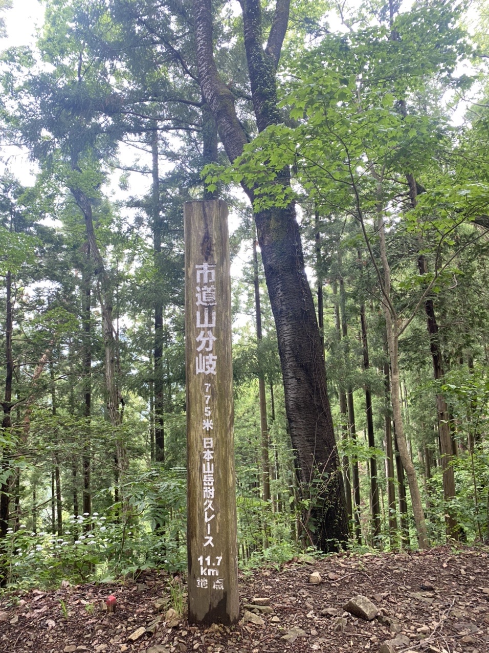 ハセツネ30k 21試走 みこさんのあきる野市の活動データ Yamap ヤマップ